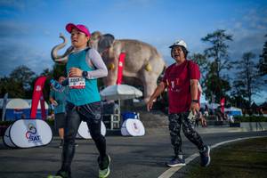 BIB: 
                            <button type="button" onclick="openModal(26541879)" class="btn btn-primary btn-sm float-right btn-popup" data-toggle="modal" data-target=".modal-high-quality">
                        <i class="fas fa-shopping-cart"></i> Add to Cart
                    </button>
                                            <button type="button" onclick="isThisMe(26541879, true)" class="btn btn-success btn-sm float-right btn-popup btn-isme hidden" data-toggle="tooltip" data-placement="bottom" title="นี่คือรูปของคุณใช่ไหม คลิกที่นี่เพื่อเอาเข้าอัลบั้ม">
                        <i class="fas fa-plus"></i> Add to album
                    </button>
                    <button type="button" onclick="isThisMe(26541879, false)" class="btn btn-warning btn-sm float-right btn-popup btn-isnotme hidden">
                        <i class="fas fa-ban"></i> Remove from album
                    </button>